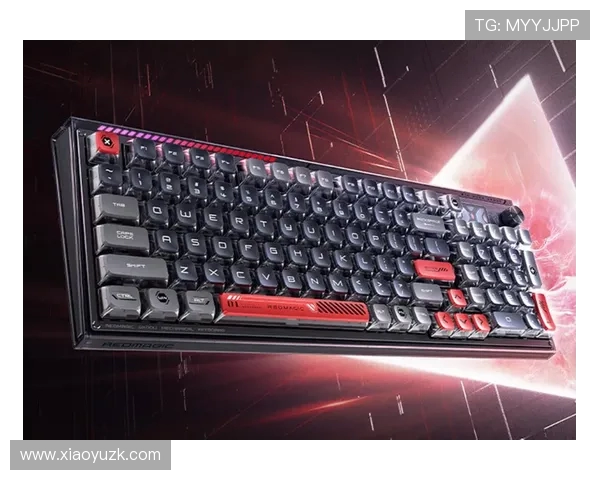 键盘第一名Top1电竞选手背后的训练与成长之路揭秘